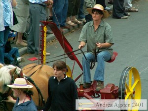 29PferdmitHaumaschine