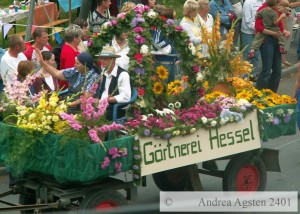 65bGaertnereiHessel